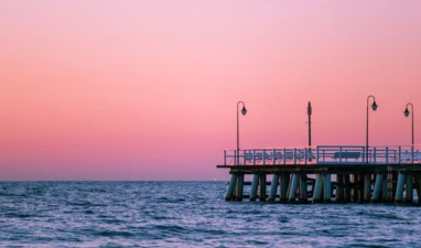 pexels-piotr-arnoldes-7862031-6199453