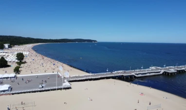 pexels-intense-graphic-designer-291182303-13186039