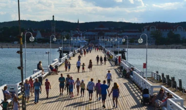 pexels-jacobkt225-13620735